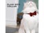 Pet Cat Dog Winter Bow Tie Harnesses Grooming Product Carousel 4
