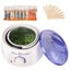 Wax Warmer Kit - (NZ CLEARANCE) Carousel 3