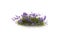 Loading Image 1 of 2