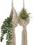 Macrame Plant Pot Hanger i2408BG0 Carousel 3