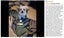 New Anti Bark Dog Trainer on Afterpay Carousel 5