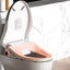 Bidet Electric Toilet Seat Cover Electronic Auto Smart Spray Remote Carousel 8