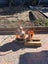 Distiller Copper Distilling 2L Distillation Kits Carousel 5