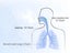 Nebulizer NZ Local Buy Carousel 3