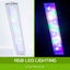 Dynamic Power Aquarium Fish Tank 30l Curved Glass Rgb Led Carousel 9