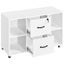 Book Shelves File Cabinet Carousel 4