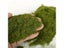 3-8mm Simulation Mini Static Grass Flock Powder 30G For HO Railway Train Carousel 7