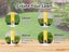Artificial Grass Carousel 8