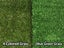 Artificial Grass Carousel 9