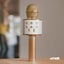 Karaoke Mic with built-in Speakers BT/MP3 Gold Carousel 10