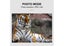 High-Quality 4K Hunting Camera - 90° Wide Angle & Fast Carousel 10