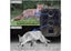 Hunting Trail Camera Brand New Carousel 8