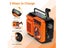 Portable FM Radio Brand New Carousel 10