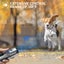 New Anti Bark Dog Trainer on Afterpay Carousel 9