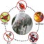 Loading Image 2 of 3
