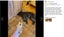 New Anti Bark Dog Trainer on Afterpay Carousel 8