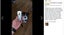New Anti Bark Dog Trainer on Afterpay Carousel 7