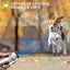 New Anti Bark Dog Trainer on Afterpay Carousel 12