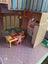 Vintage Nicole’s Light Up Doll House Carousel 8