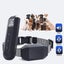 Dog Training Collar Carousel 5