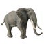 CollectA African Wildlife - 20 piece set Carousel 11