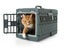 Collapsible Plastic Pet Carrier 55cm x 32cm x 36cmH *RRP $65.00 Carousel 2