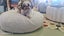 Dogs Bed Starting from $299.00. Carousel 5