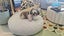 Dogs Bed Starting from $299.00. Carousel 6