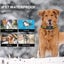 New Dog Training Collars on Afterpay Carousel 8