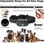 New Dog Training Collars on Afterpay Carousel 4