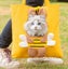Cute Cat Dog carrying cotton canvas bag Carousel 1
