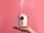 Essential Oil Diffuser NZ Clearance Carousel 2