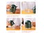 Essential Oil Diffuser NZ Clearance Carousel 8