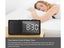 Portable FM Radio Brand New Carousel 6