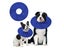 Dog Recovery Collar Adjustable Dog E-Collar Dog Cone Alternatives - Blue M Carousel 1
