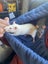 Patterned Rat/Small Animal Bonding Scarf - Choose your pattern! Carousel 4