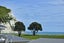 gallery view thumbnail