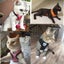 Cat Adjustable Harness Vest Carousel 3