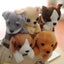 Husky Dog Plush Toy Stuffed Soft Doll Toys Pencil Case Puppy Carousel 3