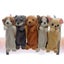 Husky Dog Plush Toy Stuffed Soft Doll Toys Pencil Case Puppy Carousel 4