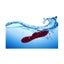 Loading Image 2 of 3