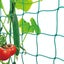 Plant Trellis Netting 5.9FT x 8.85FT Carousel 10