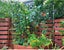 Plant Trellis Netting 5.9FT x 8.85FT Carousel 14