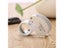 Magnifying Glass Magnifier Carousel 1
