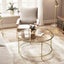 Glass Coffee Table Carousel 2