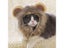 Cute Lion Mane Cat Wig Pet Small Dog Cats Costume Lion Mane Wig Cap Hat For Cat Carousel 3