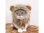 Cute Lion Mane Cat Wig Pet Small Dog Cats Costume Lion Mane Wig Cap Hat For Cat Carousel 5