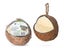 Wild Bird Energy Coconut Feeder Carousel 1