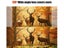 Trail Camera for Hunting Scouting Range Control Carousel 3