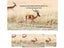 Trail Camera for Hunting Scouting Range Control Carousel 10